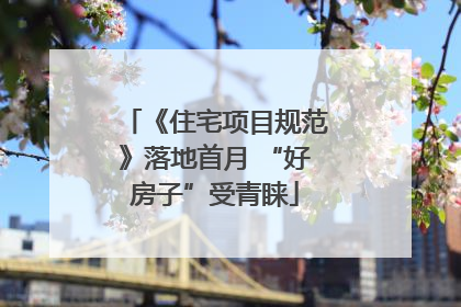 《住宅项目规范》落地首月 “好房子”受青睐