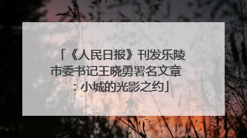 《人民日报》刊发乐陵市委书记王晓勇署名文章：小城的光影之约