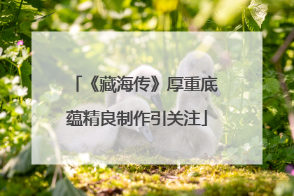 《藏海传》厚重底蕴精良制作引关注