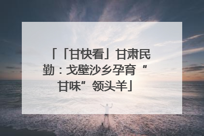 「甘快看」甘肃民勤：戈壁沙乡孕育“甘味”领头羊