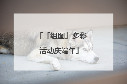 「组图」多彩活动庆端午