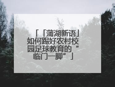 「蒲湖新语」如何踢好农村校园足球教育的“临门一脚”