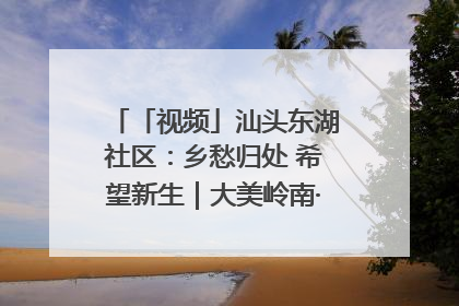 「视频」汕头东湖社区：乡愁归处 希望新生｜大美岭南·百村焕新记