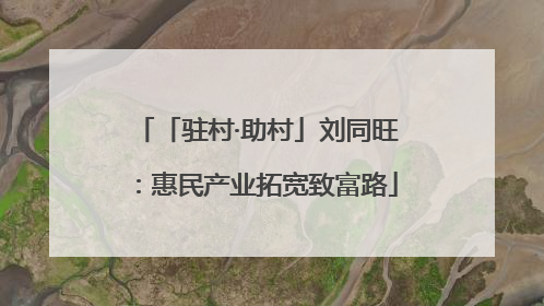 「驻村·助村」刘同旺：惠民产业拓宽致富路