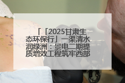 「2025甘肃生态环保行」一渠清水润绿洲：景电二期提质增效工程筑牢西部生态安全屏障
