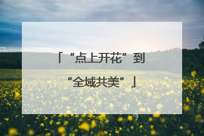 “点上开花”到“全域共美”