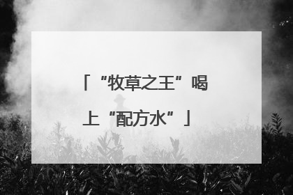 “牧草之王”喝上“配方水”