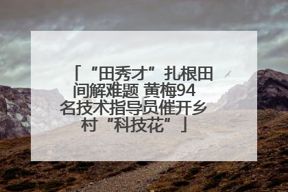 “田秀才”扎根田间解难题 黄梅94名技术指导员催开乡村“科技花”