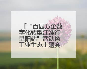 “百园万企数字化转型江淮行阜阳站”活动暨工业生态主题会议成功举办