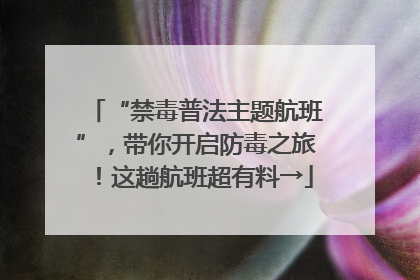 “禁毒普法主题航班”，带你开启防毒之旅！这趟航班超有料→