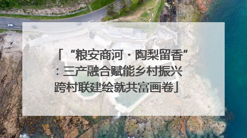 “粮安商河・陶梨留香”：三产融合赋能乡村振兴 跨村联建绘就共富画卷