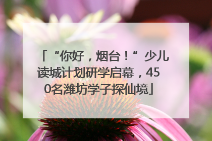 “你好，烟台！”少儿读城计划研学启幕，450名潍坊学子探仙境