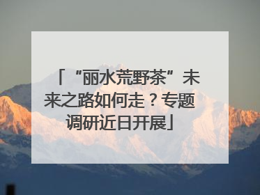 “丽水荒野茶”未来之路如何走？专题调研近日开展