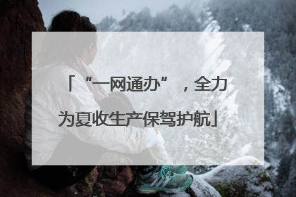 “一网通办”，全力为夏收生产保驾护航