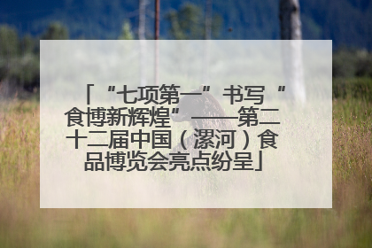 “七项第一”书写“食博新辉煌”——第二十二届中国（漯河）食品博览会亮点纷呈