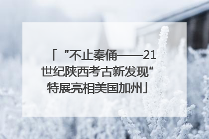 “不止秦俑——21世纪陕西考古新发现”特展亮相美国加州