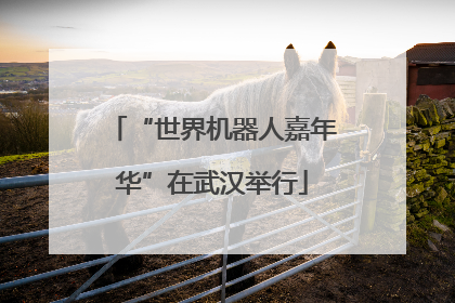 “世界机器人嘉年华”在武汉举行