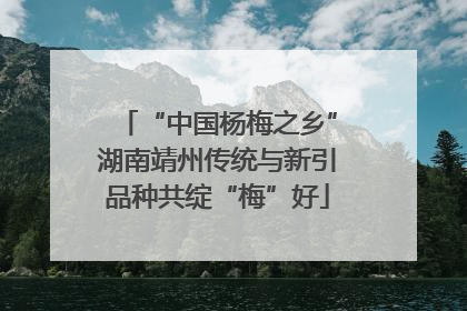 “中国杨梅之乡”湖南靖州传统与新引品种共绽“梅”好