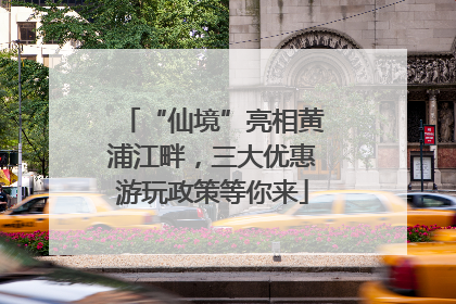 “仙境”亮相黄浦江畔，三大优惠游玩政策等你来