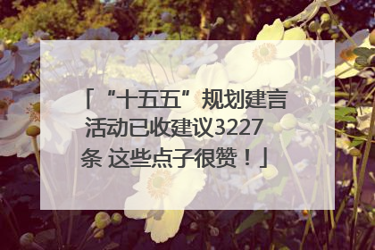 “十五五”规划建言活动已收建议3227条 这些点子很赞！