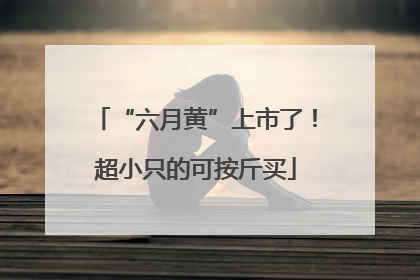 “六月黄”上市了！超小只的可按斤买