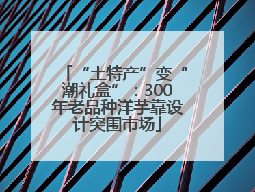 “土特产”变“潮礼盒”：300年老品种洋芋靠设计突围市场