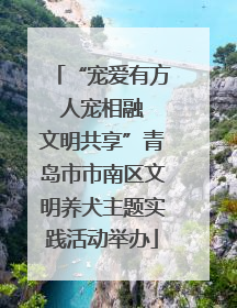 “宠爱有方 人宠相融 文明共享”青岛市市南区文明养犬主题实践活动举办