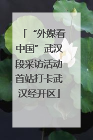 “外媒看中国”武汉段采访活动首站打卡武汉经开区