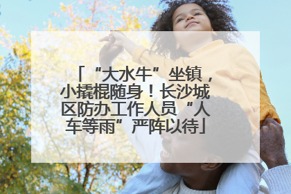 “大水牛”坐镇，小撬棍随身！长沙城区防办工作人员“人车等雨”严阵以待