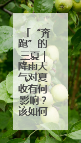 “奔跑”的三夏｜降雨天气对夏收有何影响？该如何防范？一文了解