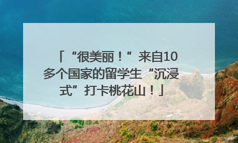 “很美丽！”来自10多个国家的留学生“沉浸式”打卡桃花山！