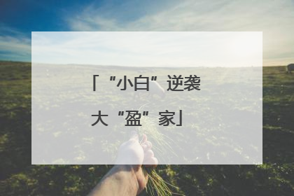 “小白”逆袭大“盈”家