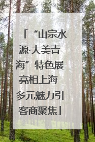 “山宗水源·大美青海”特色展亮相上海 多元魅力引客商聚焦
