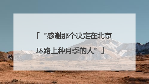 “感谢那个决定在北京环路上种月季的人”