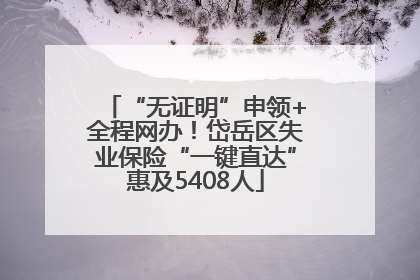 “无证明”申领+全程网办！岱岳区失业保险“一键直达”惠及5408人
