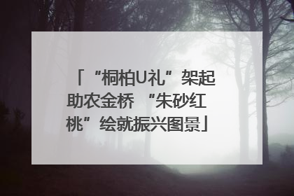 “桐柏U礼”架起助农金桥 “朱砂红桃”绘就振兴图景