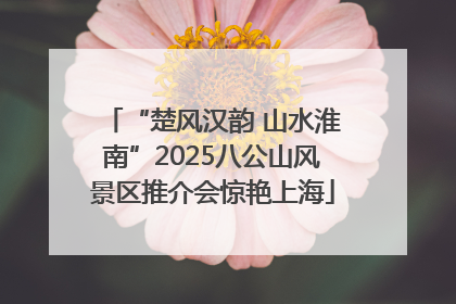 “楚风汉韵 山水淮南”2025八公山风景区推介会惊艳上海