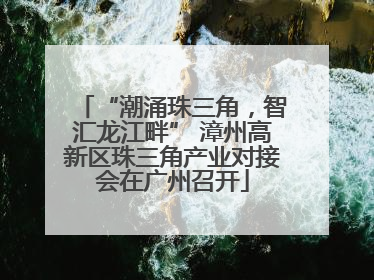 “潮涌珠三角，智汇龙江畔” 漳州高新区珠三角产业对接会在广州召开