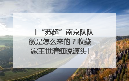 “苏超”南京队队徽是怎么来的？收藏家王世清细说源头