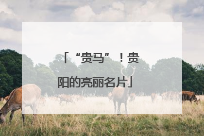 “贵马”！贵阳的亮丽名片