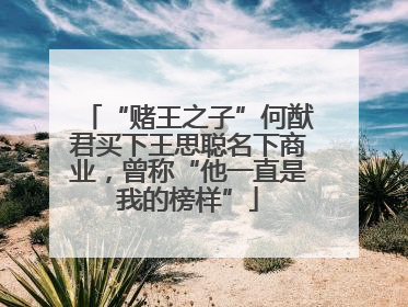 “赌王之子”何猷君买下王思聪名下商业，曾称“他一直是我的榜样”