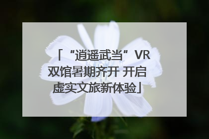 “逍遥武当”VR双馆暑期齐开 开启虚实文旅新体验