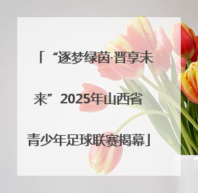 “逐梦绿茵·晋享未来”2025年山西省青少年足球联赛揭幕