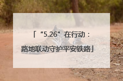 “5.26”在行动：路地联动守护平安铁路
