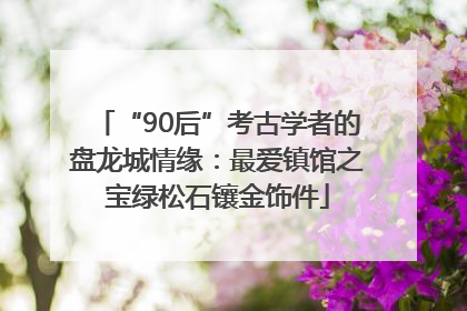 “90后”考古学者的盘龙城情缘：最爱镇馆之宝绿松石镶金饰件