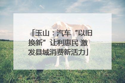 玉山：汽车“以旧换新”让利惠民 激发县域消费新活力