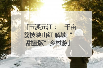 玉溪元江：三千亩荔枝映山红 解锁“甜蜜版”乡村游