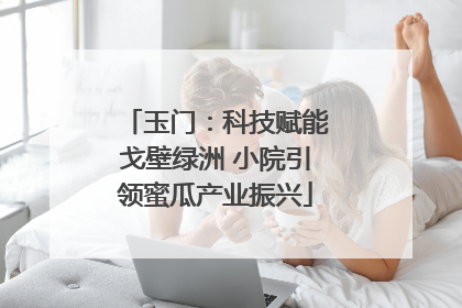 玉门：科技赋能戈壁绿洲 小院引领蜜瓜产业振兴