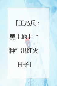 王乃兵：黑土地上“种”出红火日子