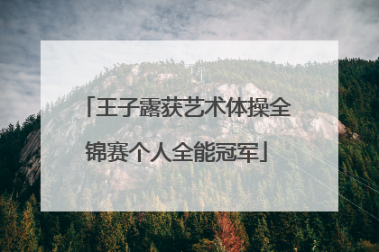 王子露获艺术体操全锦赛个人全能冠军